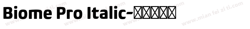 Biome Pro Italic字体转换